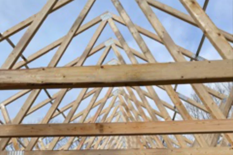 Carpentry Curriculum Topic: Roof Trusses