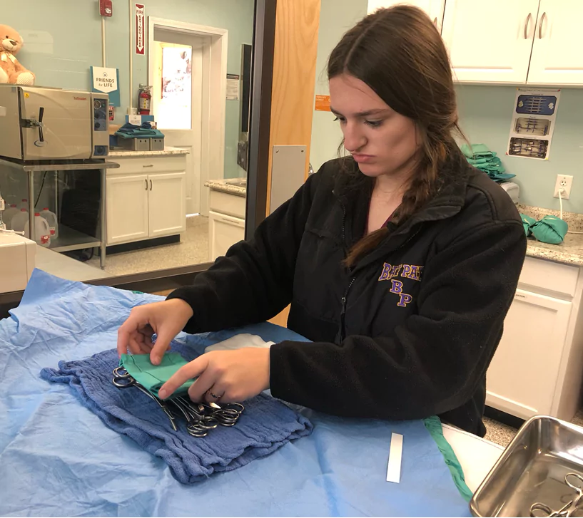 Veterinary Science Curriculum Topic: Preparing surgical packs at Second Chance Veterinary Clinic in Southbridge